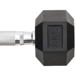 vidaXL Gantere, 2 buc., 16 kg, total fontă