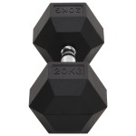 vidaXL Ganteră, 20 kg, fontă vidaXL Ganteră, 20 kg, fontă