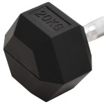 vidaXL Ganteră, 20 kg, fontă vidaXL Ganteră, 20 kg, fontă