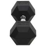 vidaXL Ganteră, 22,5 kg, fontă vidaXL Ganteră, 22,5 kg, fontă