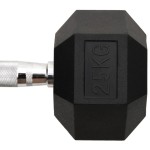 vidaXL Ganteră, 25 kg, fontă