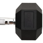 vidaXL Ganteră, 27,5 kg, fontă