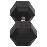 vidaXL Ganteră, 30 kg, fontă vidaXL Ganteră, 30 kg, fontă