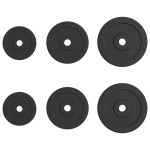 vidaXL Discuri de greutate, 6 buc., 30 kg, fontă vidaXL Discuri de greutate, 6 buc., 30 kg, fontă