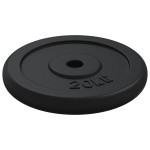 vidaXL Disc de greutate, 20 kg, fontă vidaXL Disc de greutate, 20 kg, fontă