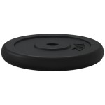 vidaXL Disc de greutate, 20 kg, fontă vidaXL Disc de greutate, 20 kg, fontă