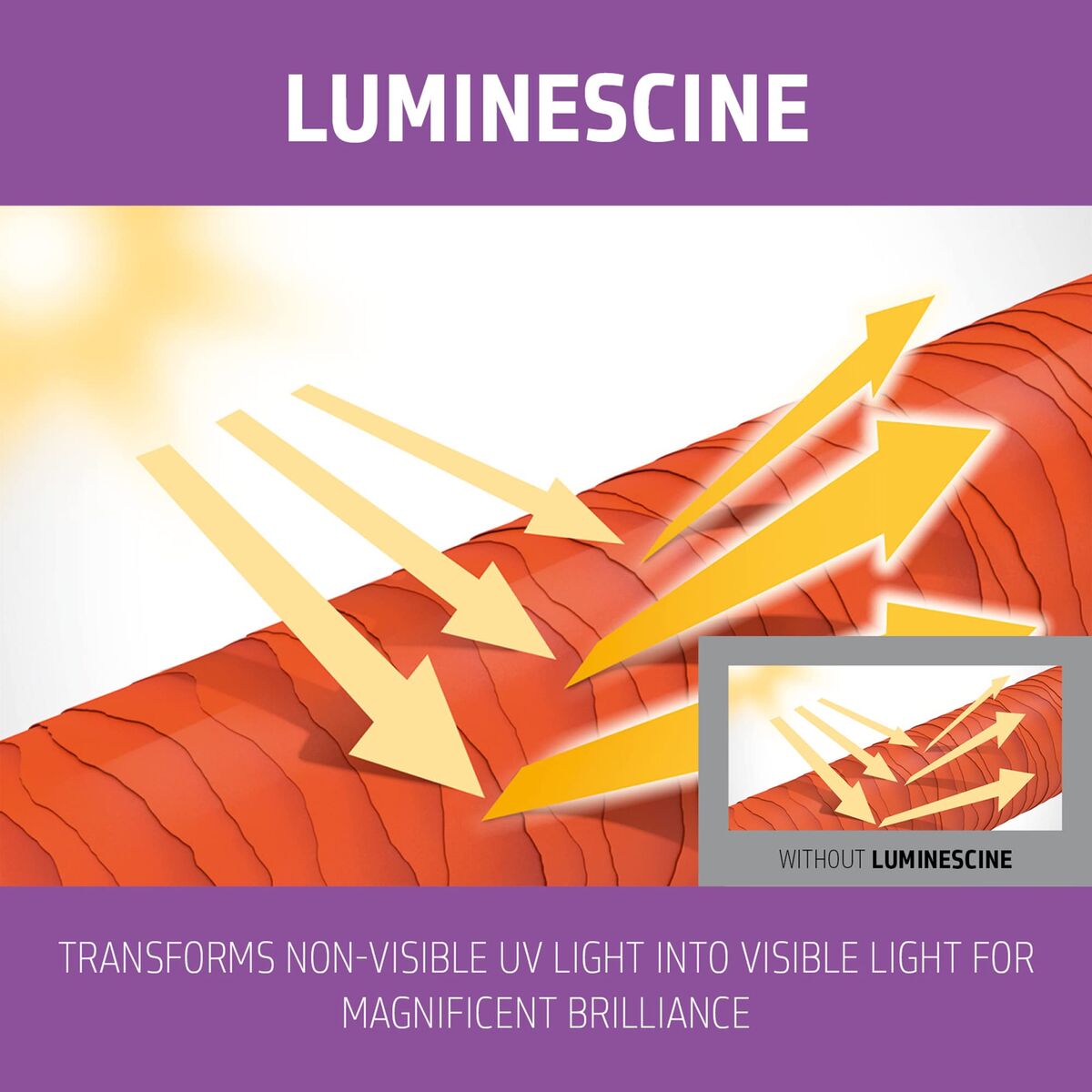 Șampon Goldwell Blondes Highlights