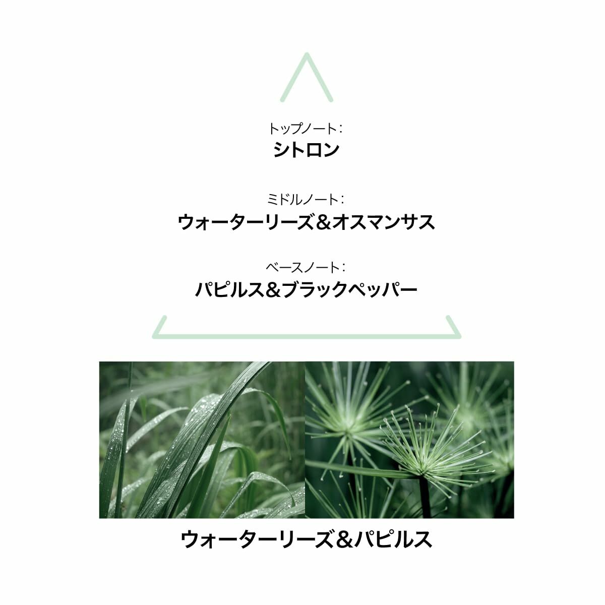 Parfum Femei Le Couvent des Minimes