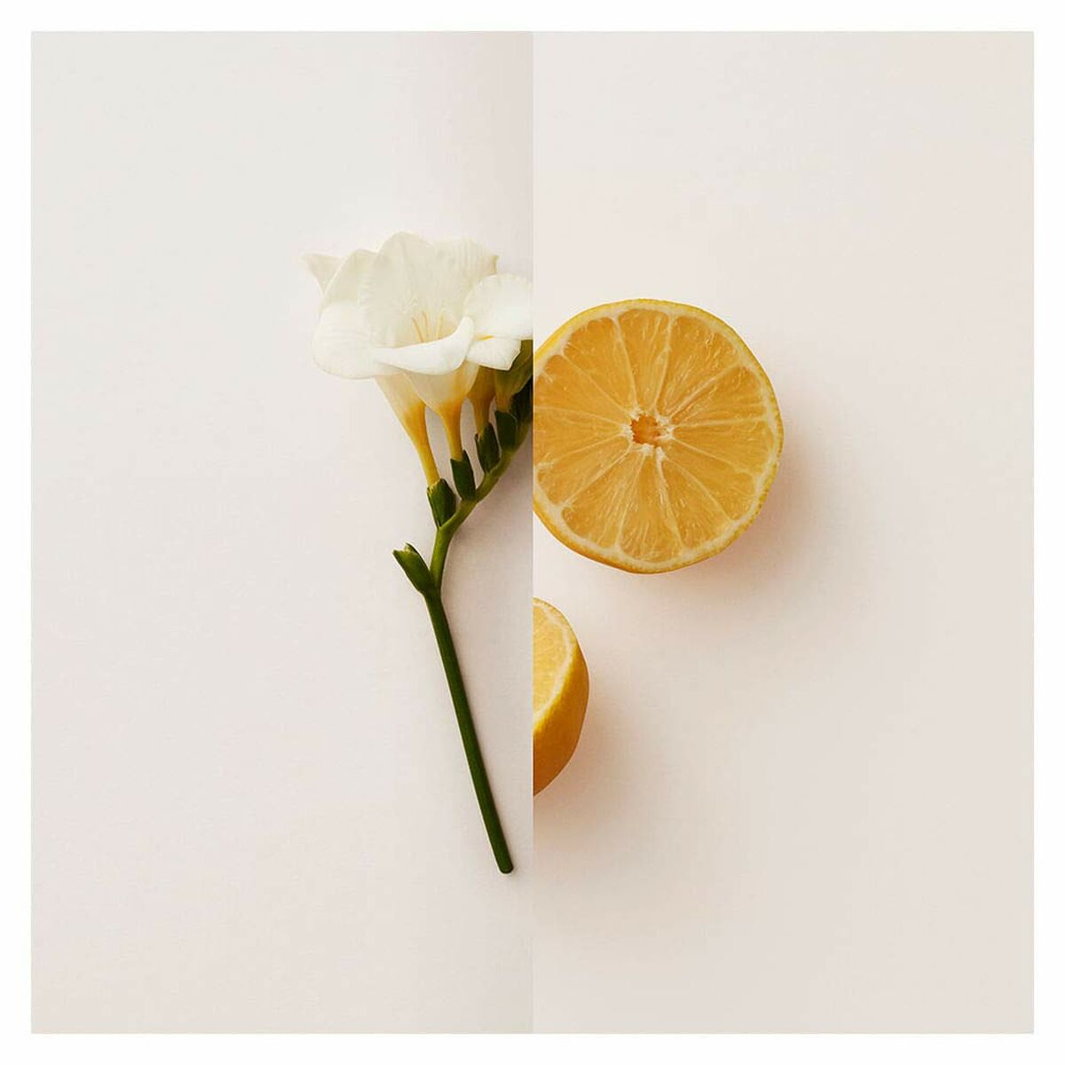 Parfum Femei Burberry My Burberry EDP