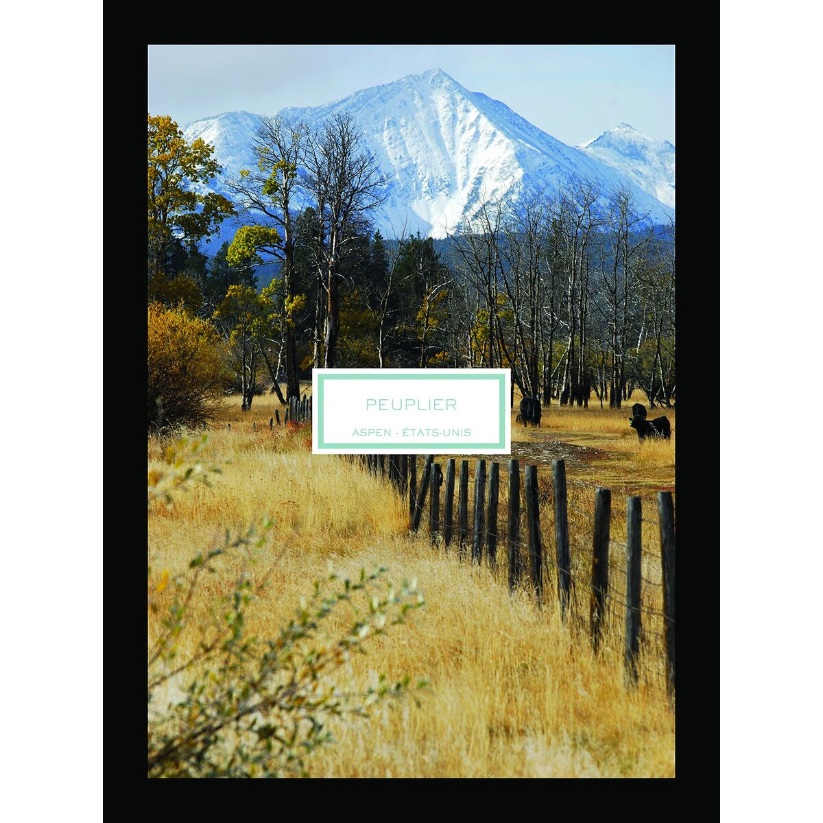 Lumânare Parfumată Lalique