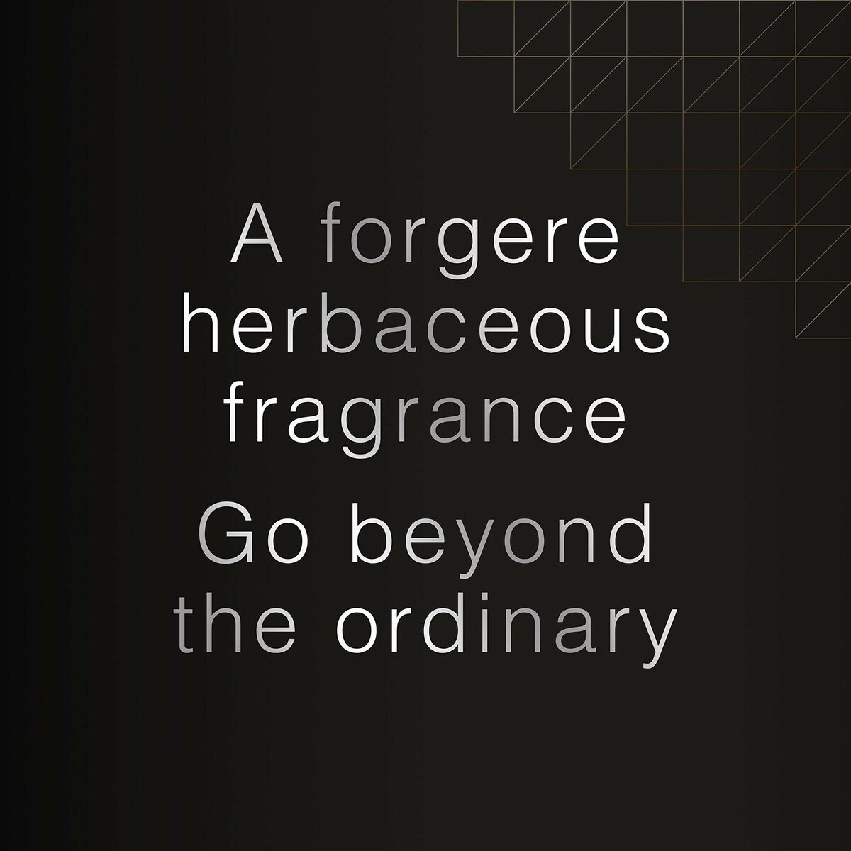 Parfum Bărbați David Beckham Beyond