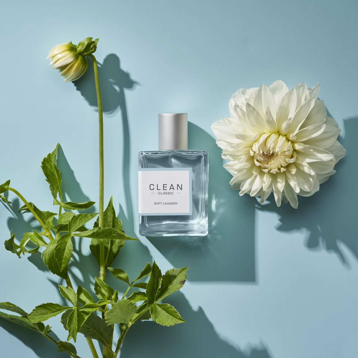 Parfum Femei Clean
