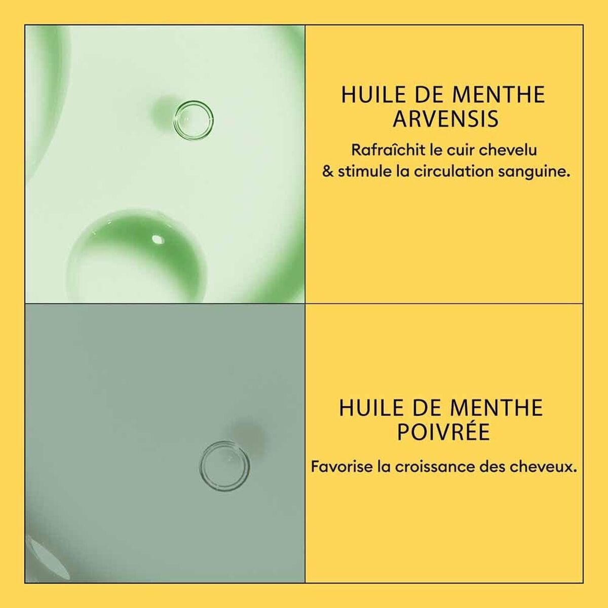 Șampon + Balsam Nioxin