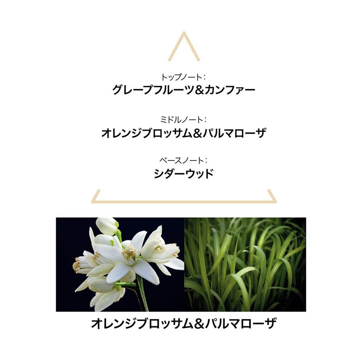 Parfum Bărbați Le Couvent des Minimes 100 ml