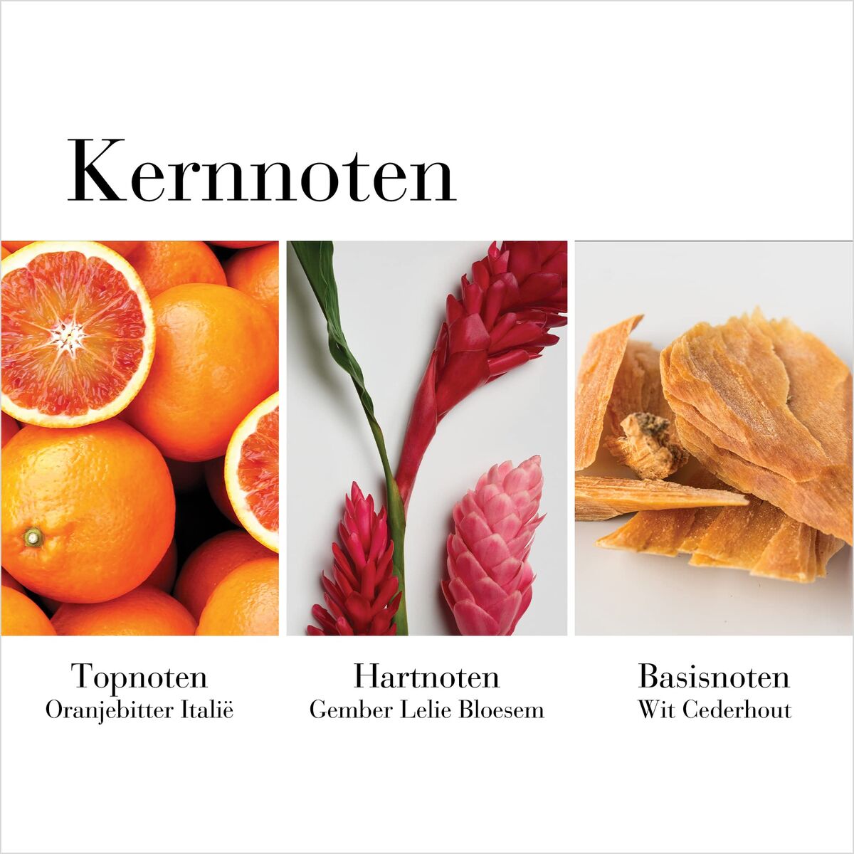 Parfum Femei Elisabeth Arden WHITE TEA EDT