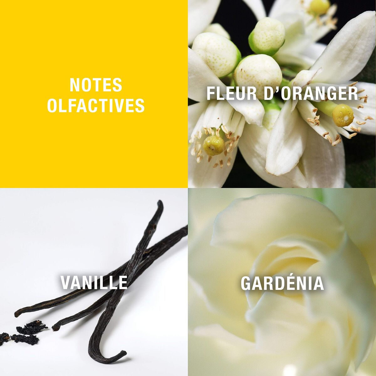 Parfum Femei Elisabeth Arden GIRF40013 EDT 50 ml