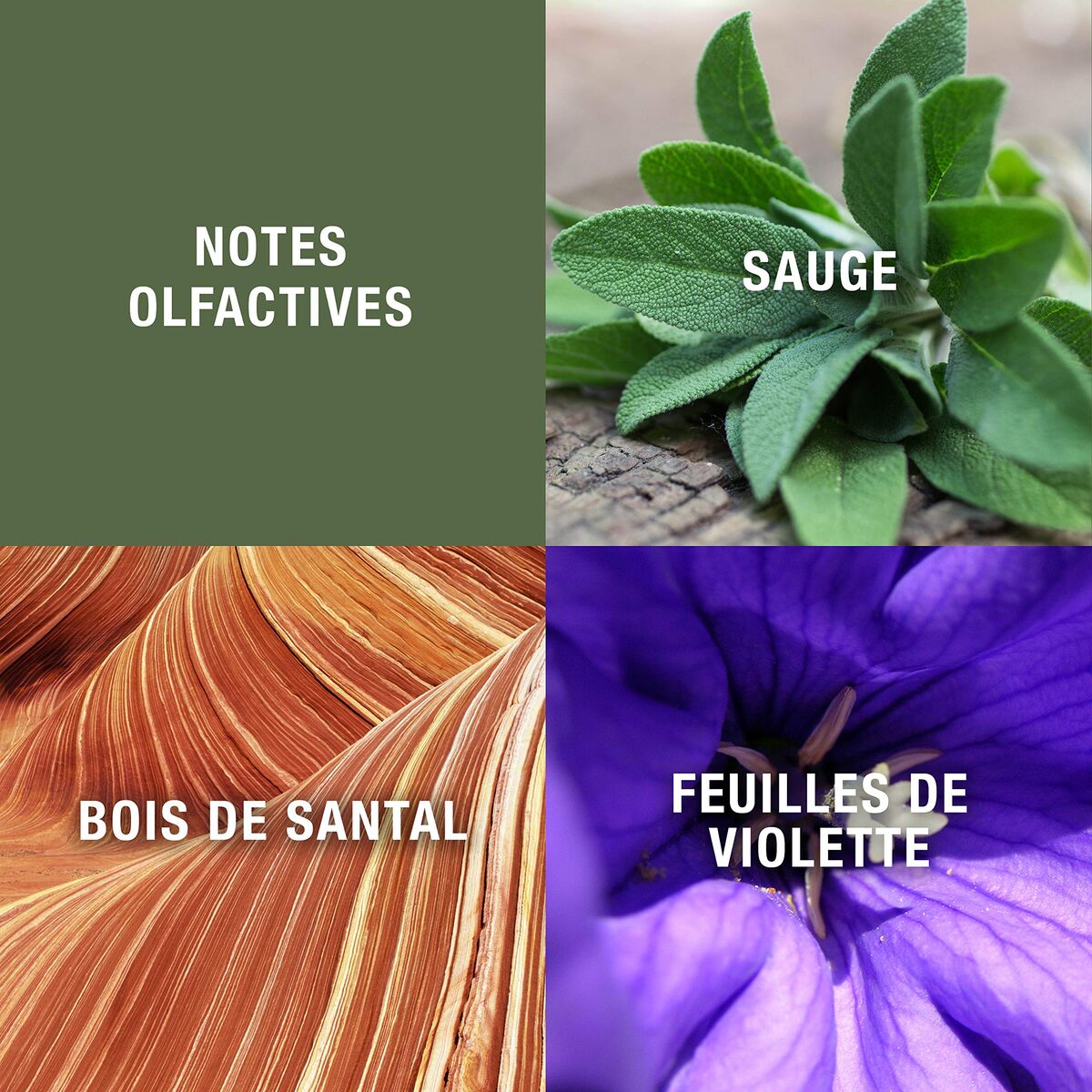 Parfum Bărbați Elisabeth Arden Grey Flannel EDT 240 ml