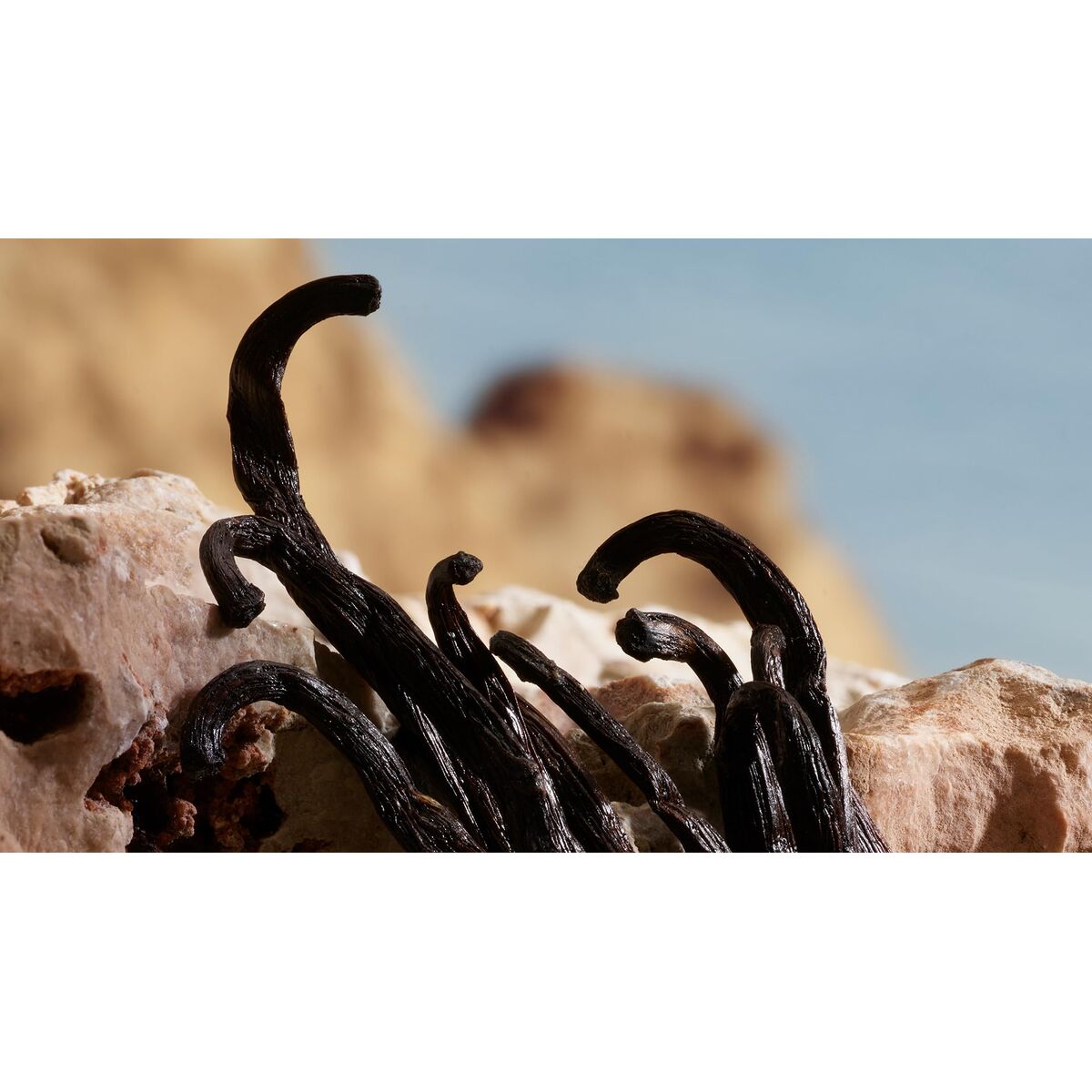 Parfum Femei D&G Q By Dolce&Gabbana EDP 50 ml