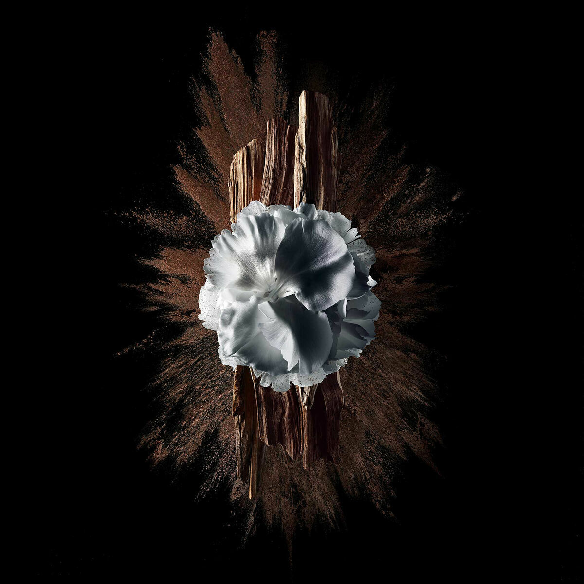 Parfum Bărbați Givenchy Gentleman Society Extreme EDP 60 ml