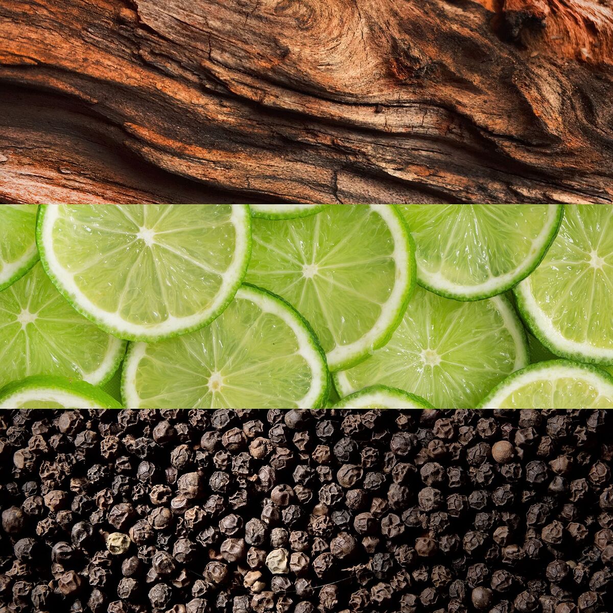 Parfum Femei Lacoste Essential EDT