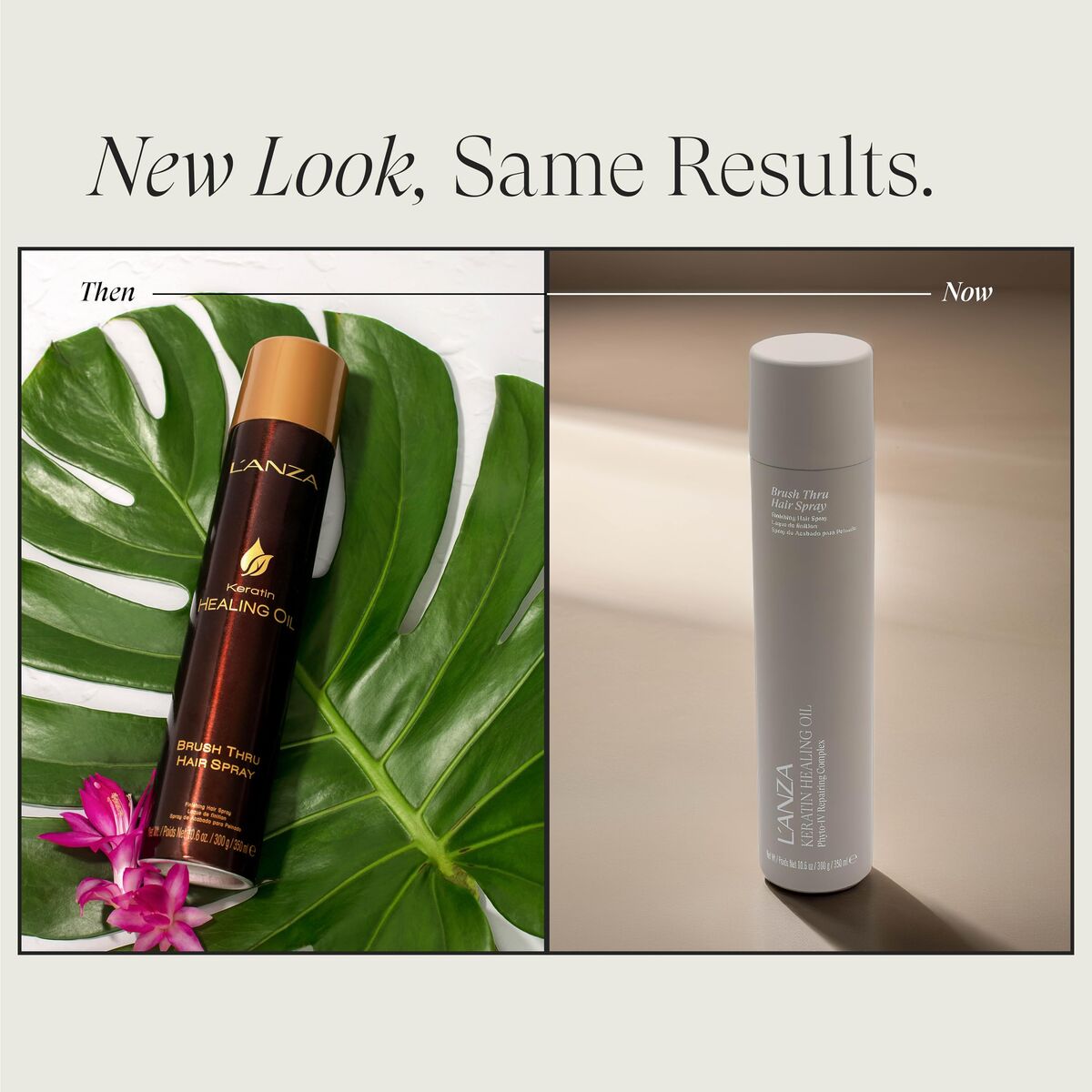 Parfum Femei L'ANZA