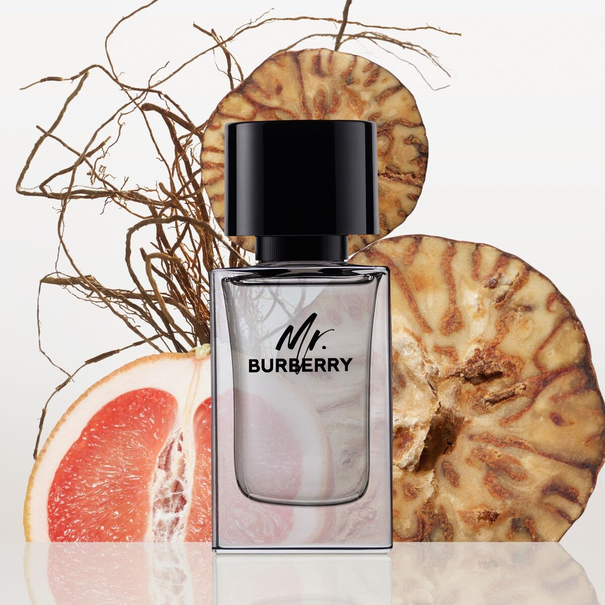 Parfum Bărbați Burberry Mr Burberry EDT 150 ml