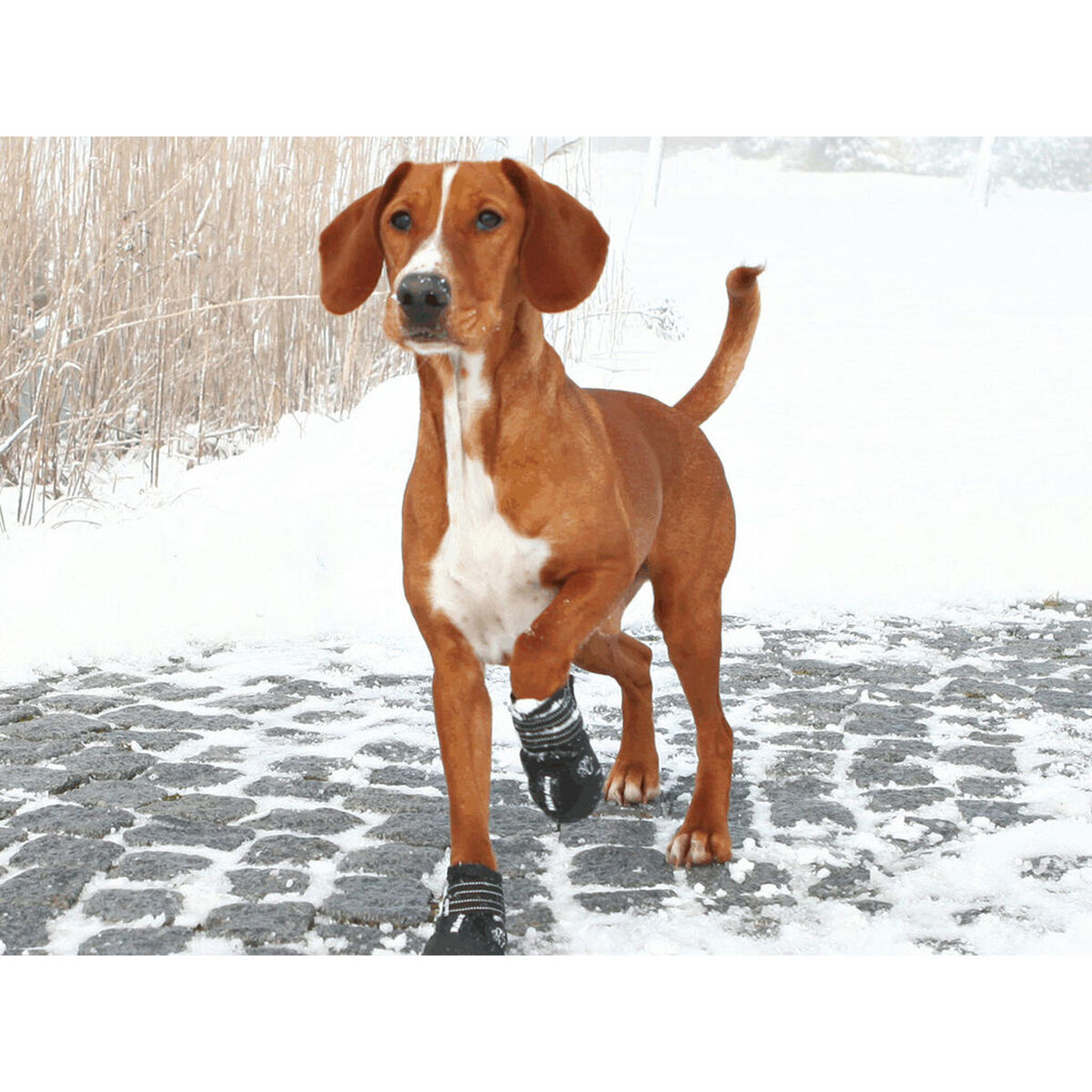 Cizme Trixie 19463 Negru M