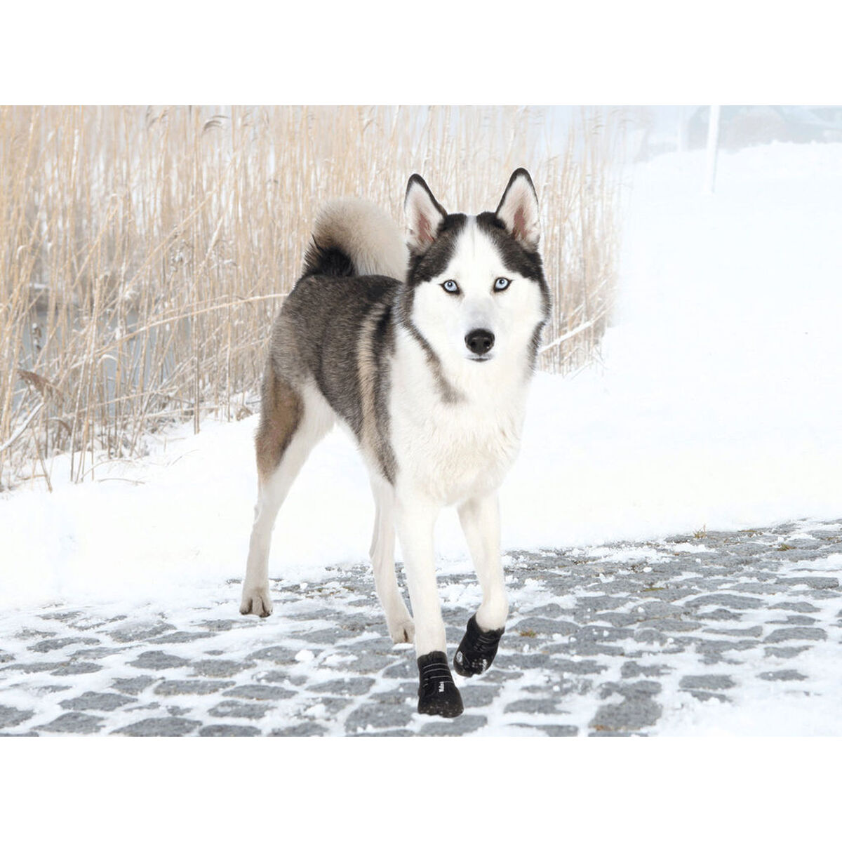 Cizme Trixie Negru L/XL