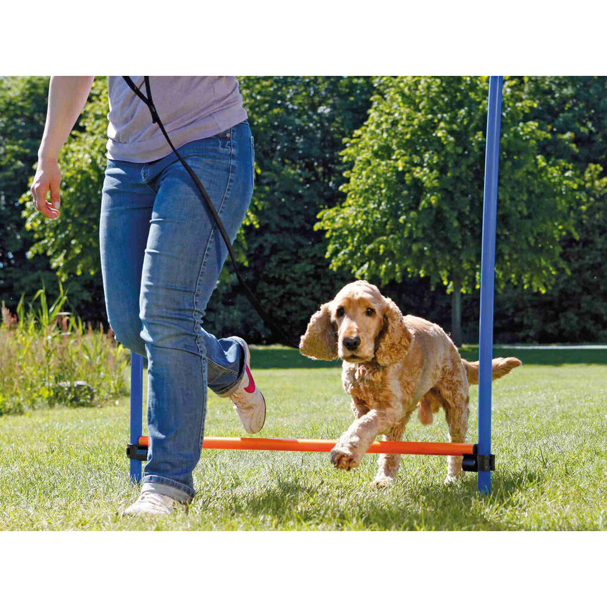 Jucărie de antrenament Trixie