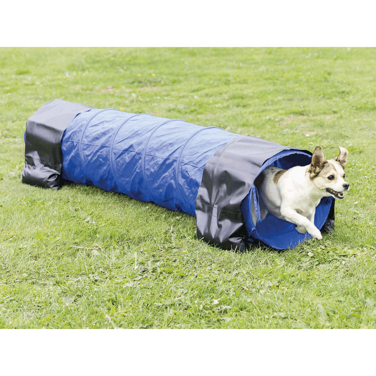 Tunel jucărie Trixie