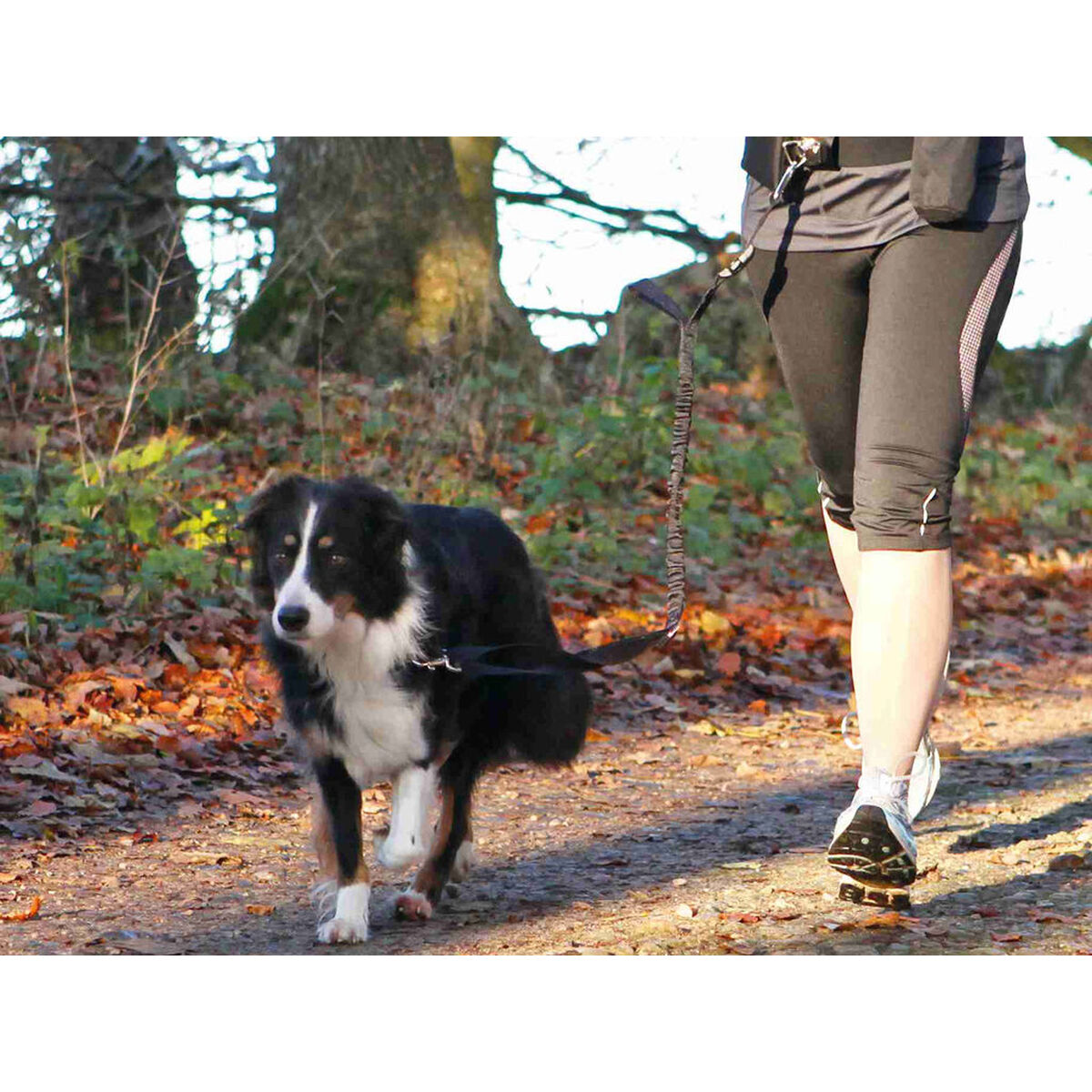 Curea Trixie 1275 Curea