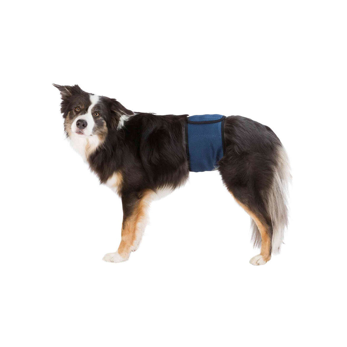 Protector pentru Incontinență Trixie 45-55 cm Tată Abdomen