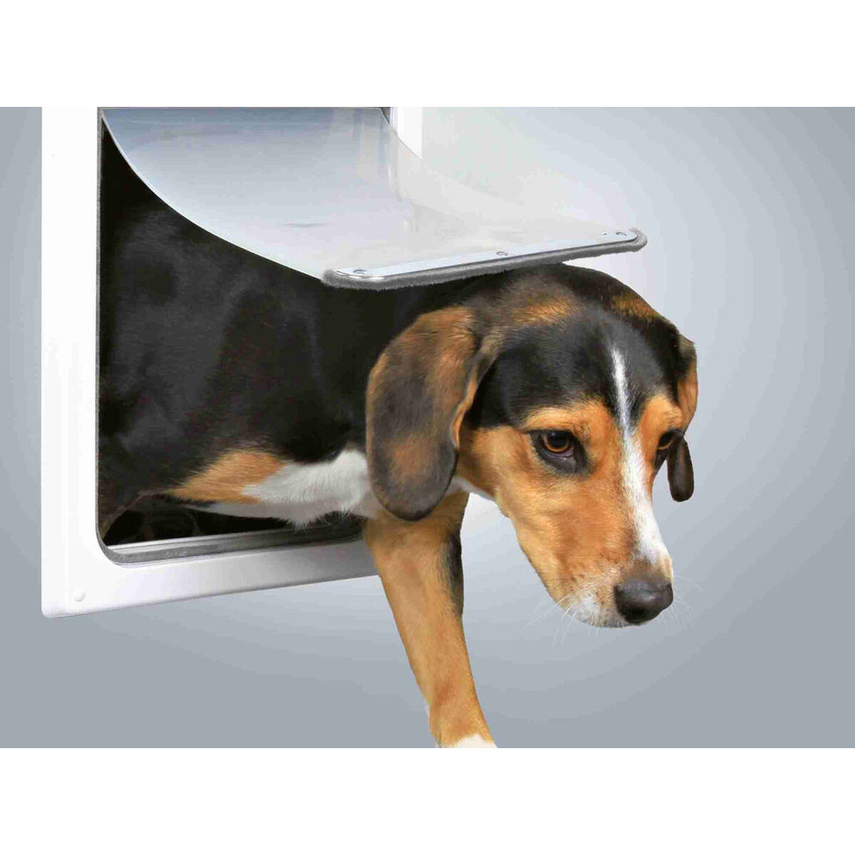 Ușiță pentru pisică Trixie Alb Plastic 30 × 36 CM