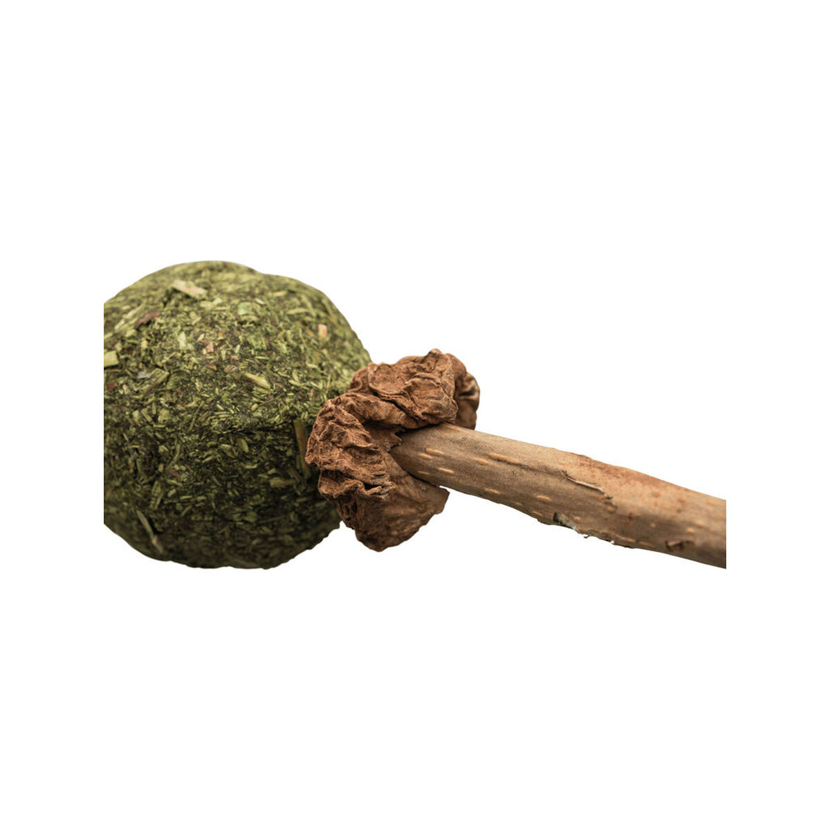 Snack for Cats Trixie Catnip/Matatabi