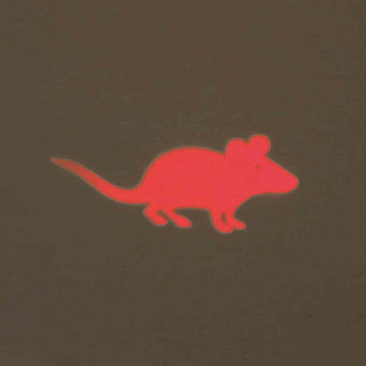 Pointer Laser Trixie