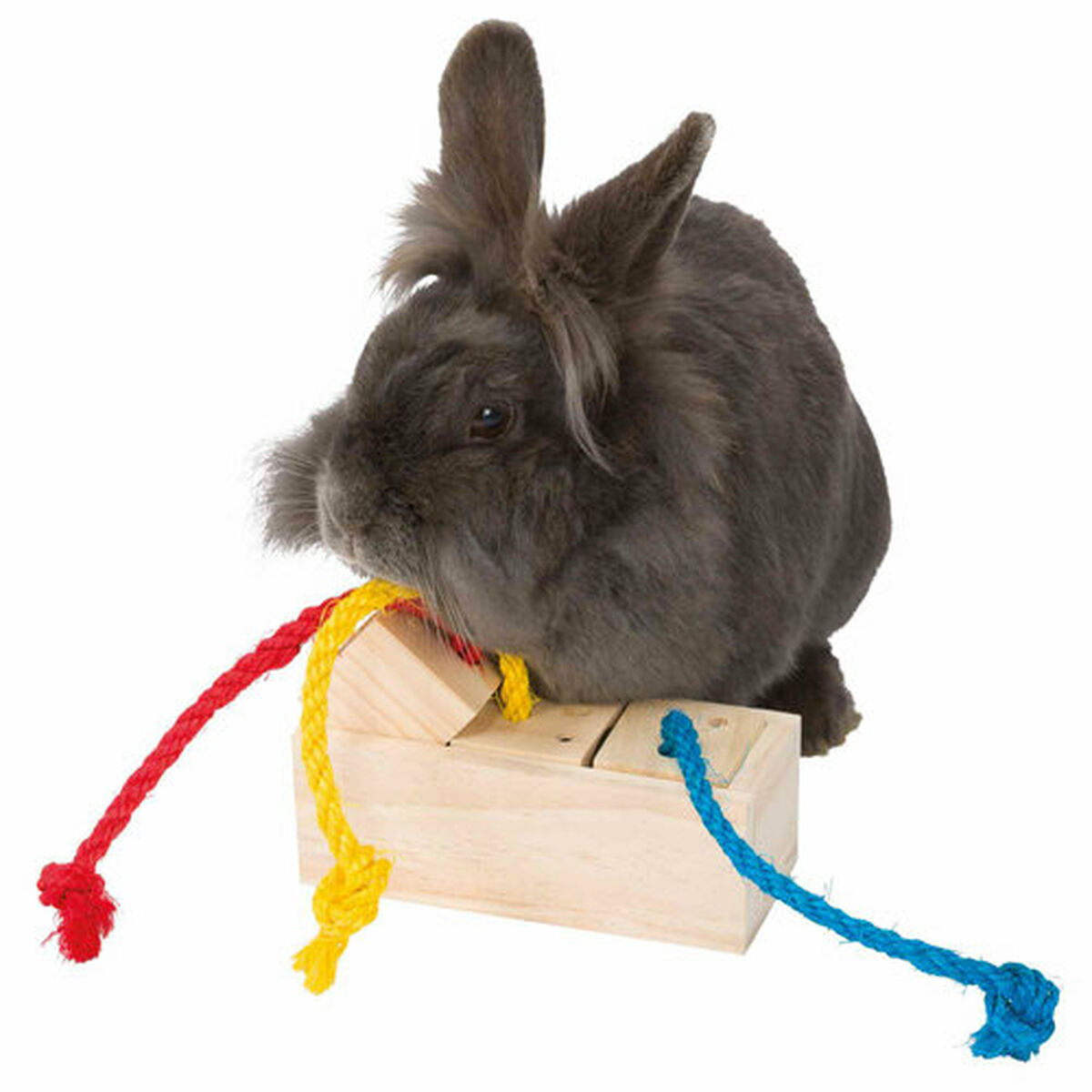 Distribuitor de mâncare 2 în 1 jucărie pentru animale de companie Trixie 16 × 6 × 7 CM