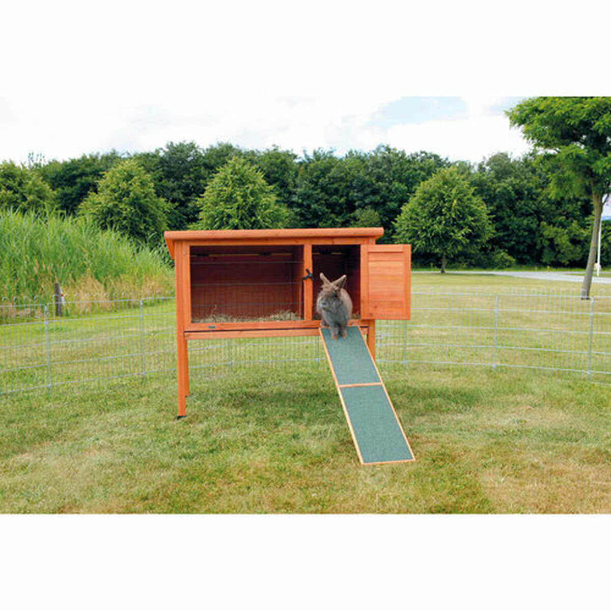 Rampă portabilă Trixie 20 × 50 CM