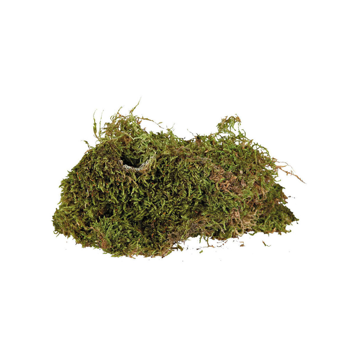 Substrat Trixie 200 g Mușchi