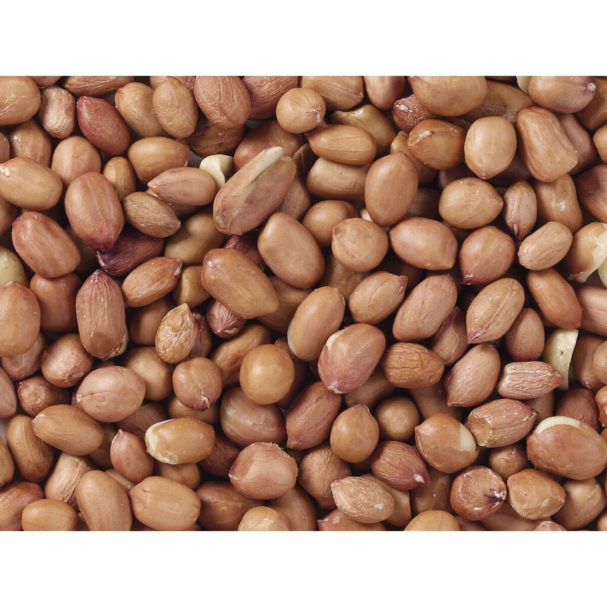 Hrană pentru păsări Deli Nature Premium 1 kg