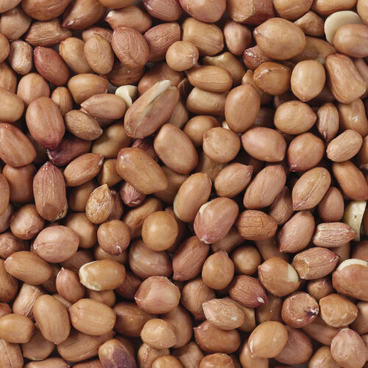 Hrană pentru păsări Deli Nature Premium 3 Kg