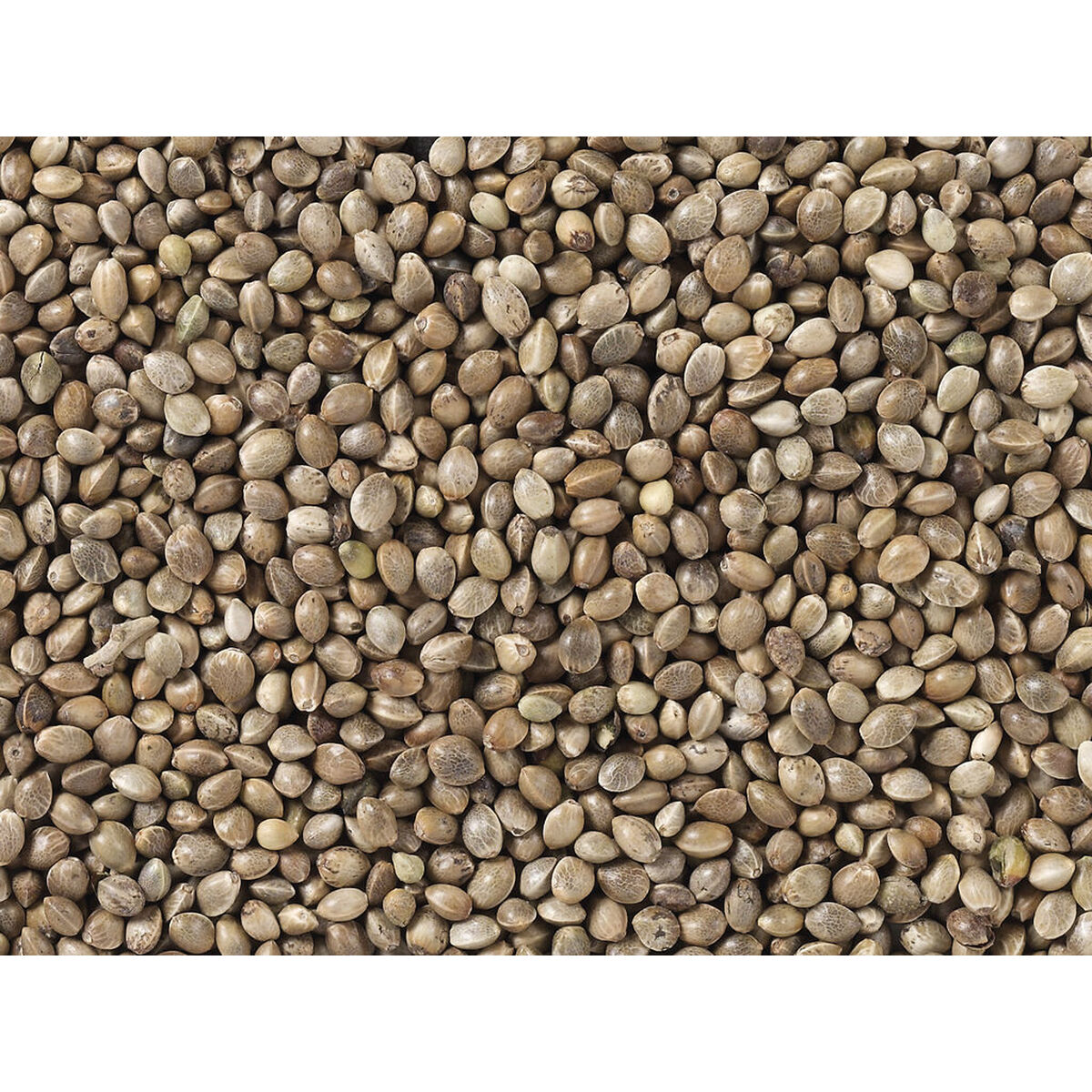 Hrană pentru păsări Deli Nature Premium