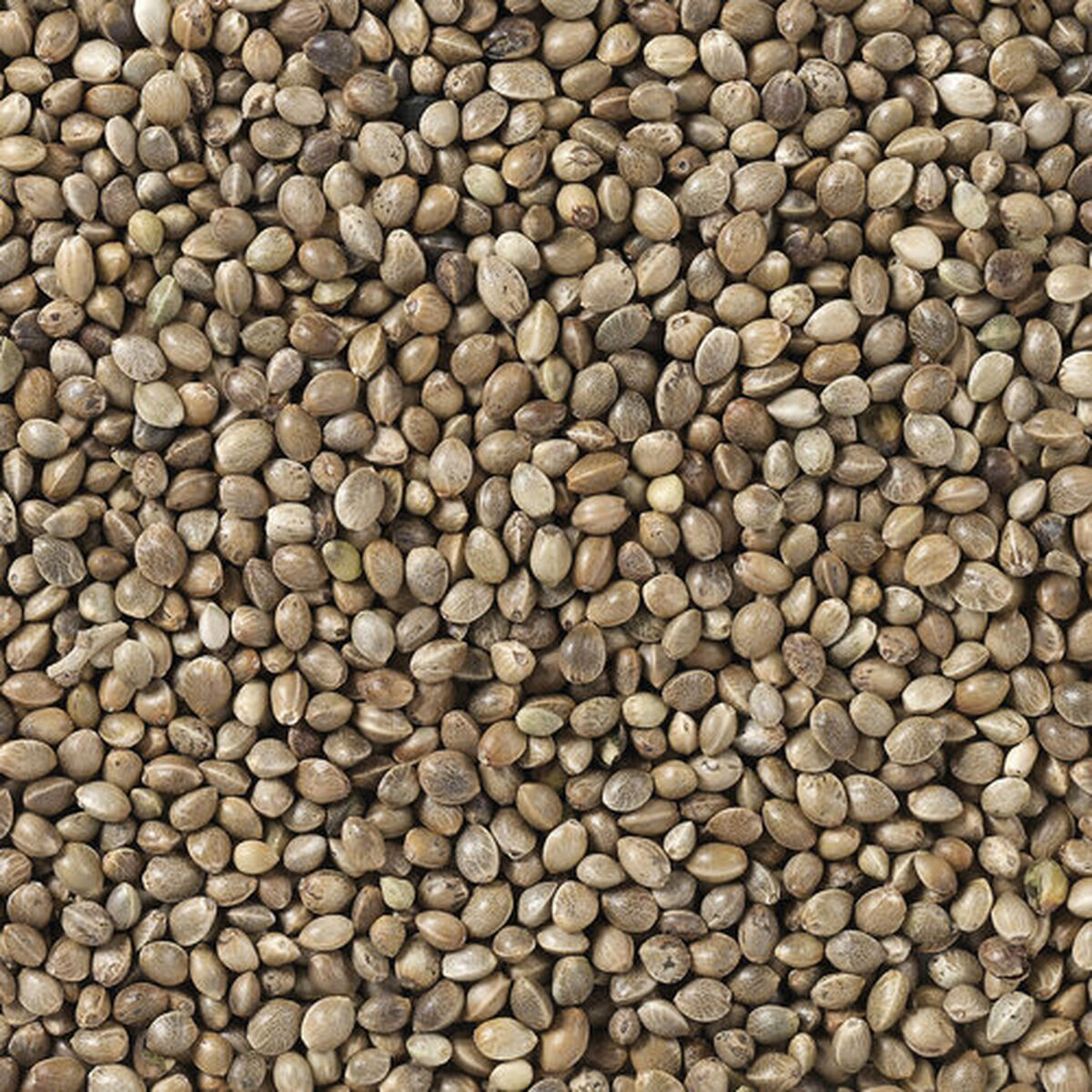 Hrană pentru păsări Deli Nature Premium