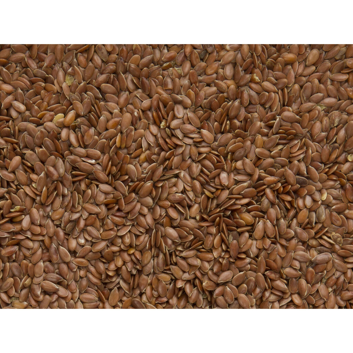 Hrană pentru păsări Deli Nature Premium