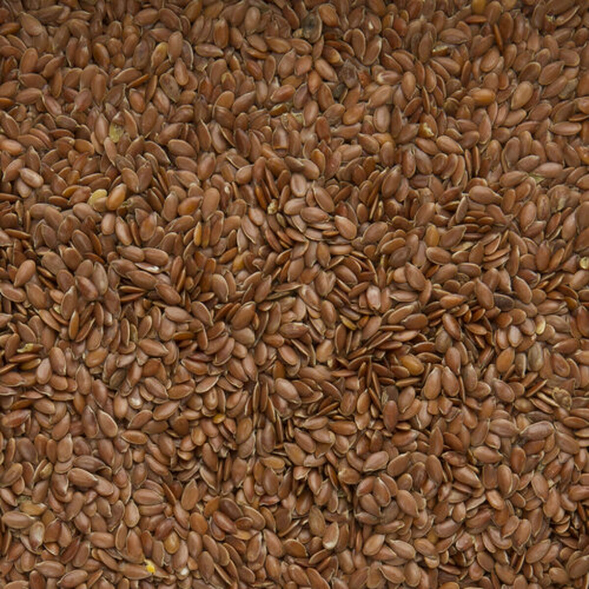 Hrană pentru păsări Deli Nature Premium