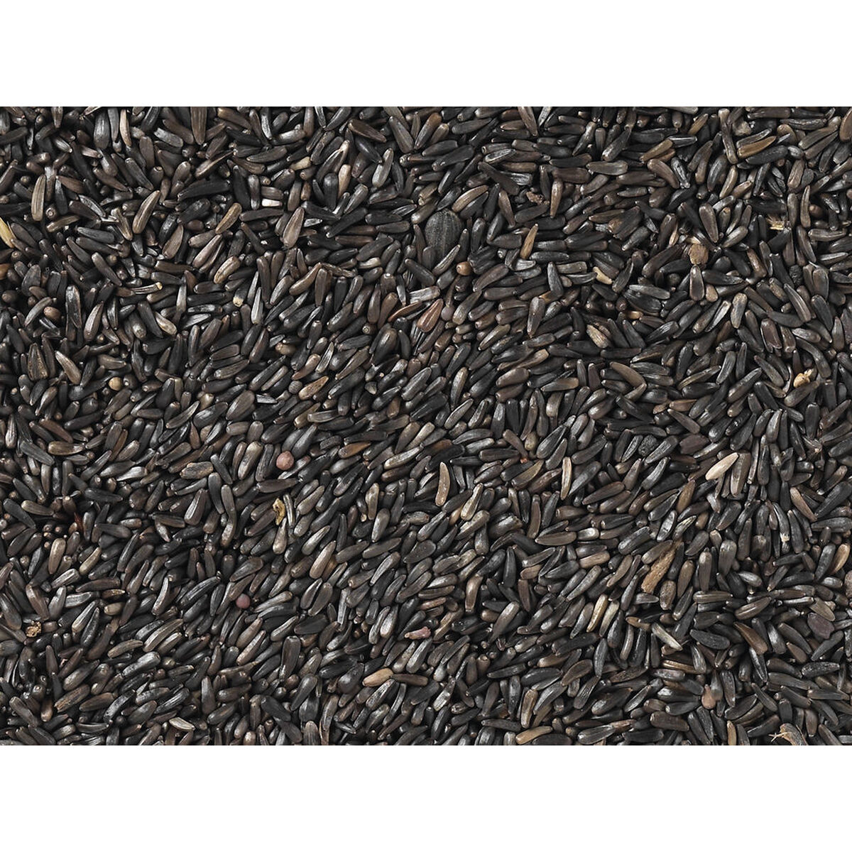 Hrană pentru păsări Deli Nature Premium 1 kg