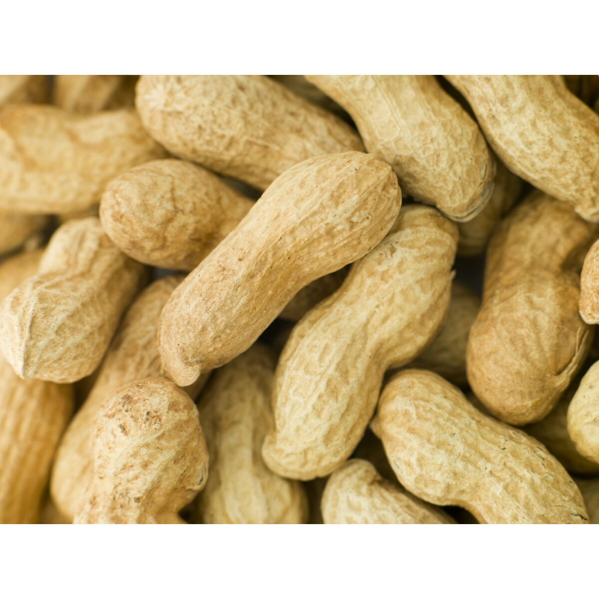 Hrană pentru păsări Deli Nature Premium 1,6 kg