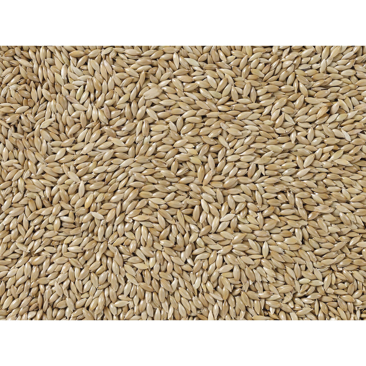 Hrană pentru păsări Deli Nature Premium 5 kg