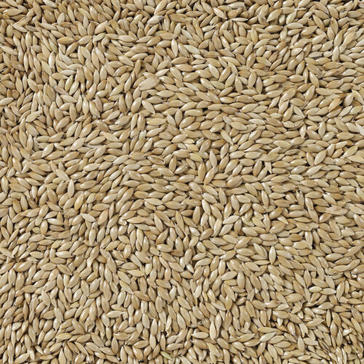 Hrană pentru păsări Deli Nature Premium 5 kg