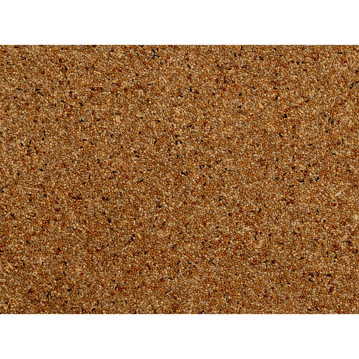 Hrană pentru păsări Deli Nature Premium 4 Kg