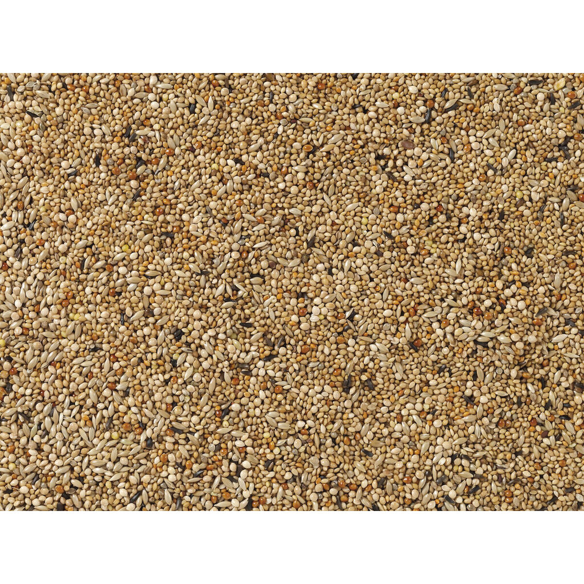 Hrană pentru păsări Deli Nature Premium 4 Kg